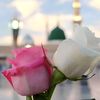 rindurasulullah21