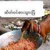 khitthit3725