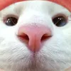 ilovekimdokja92