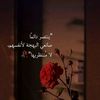 user8633079679861