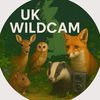 ukwildcam