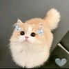 user1493552194188