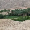 sdgf454
