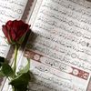 jamila7744