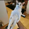 piggylover7756