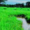 cbadi.yarer