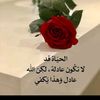 user3532455807525