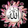 user87303747494465
