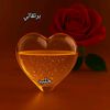 user876691904