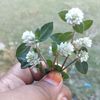 n.zulaikha7