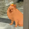 _xusieubell