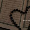 sageer.ali961