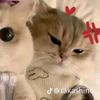 ihatemakingmyownusername