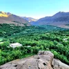 qudratullah.hashi8