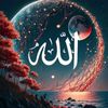 lloveallah861