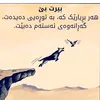 user819092441705