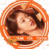 t.team_aristogatos