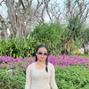 niss85117