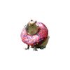 soft capybara