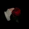 n_oor463