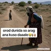 nimco.qurux5344