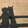 lauane_0123