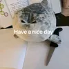 Саня тюленчик фанат ам нямов