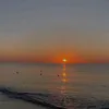 video.stato5
