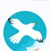 user3261207814072