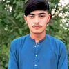majeed.ahmad4043