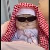 user22013240196176