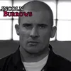 nokagufy08