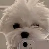 rantwme2