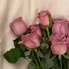 user1110331372903