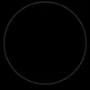 adam.shwani13