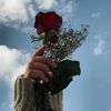 user77032478453610