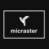 micraster67