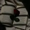 ayaan___89