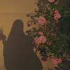 𝓗𝓲𝓷𝓪 🪷