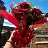 anapaula.ana469