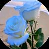 user8117946167001