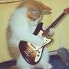 ellah_288