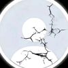 vizz2759