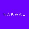 Narwal Indonesia