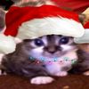 chriistelj
