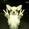 ling_2.9