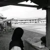 irah.tokss