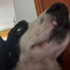 jaxon.duke4