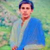 saqib.gull54