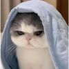 prillllllllll02